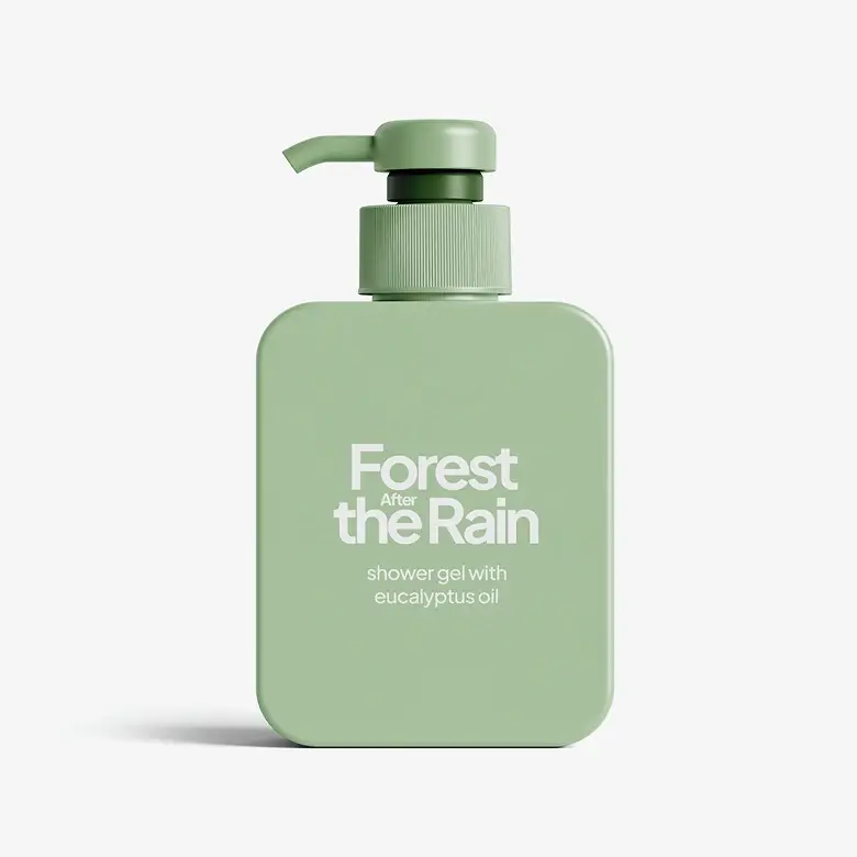 Forest After the Rain